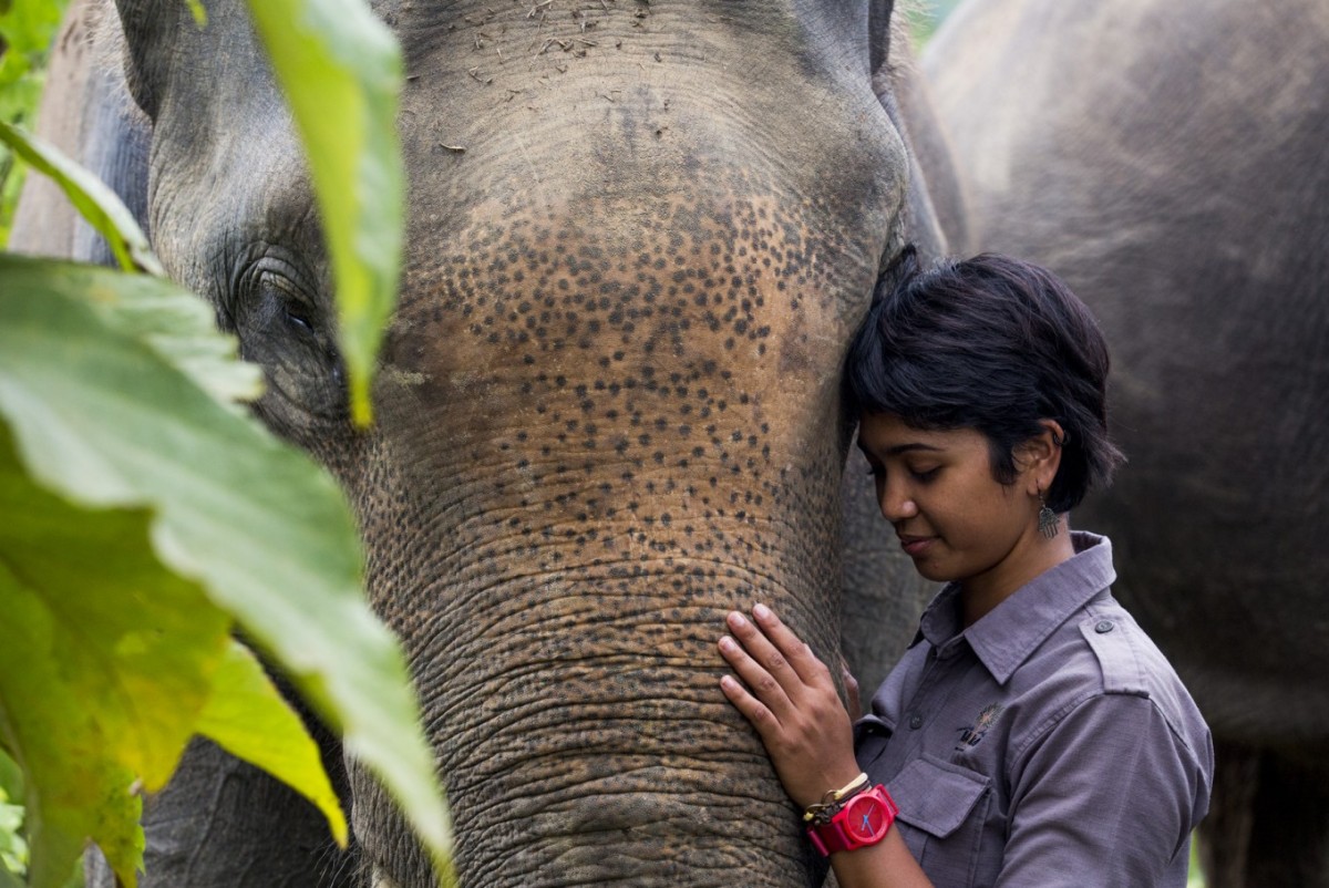 Defender Of Sumatras Leuser Ecosystem Wins Whitley Fund For